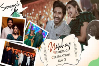 Nagababu Reveals The Reason Behind The Nischay Destination Wedding