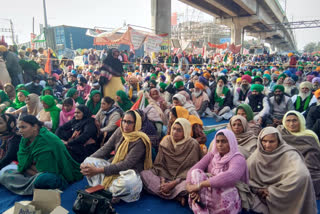 Kisan agitation: Women along with men on Tikri border also joined hunger strike