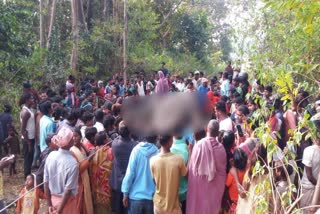 elephant died due to current in chaibasa