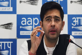 raghav chadha