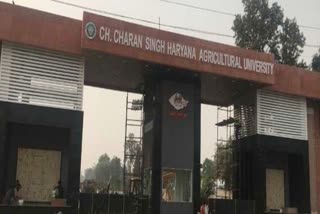 CCS Haryana Agricultural University