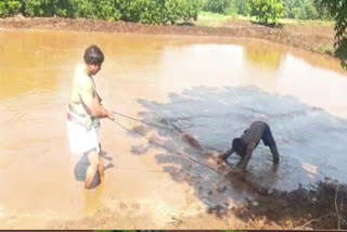 పొలంబాట పట్టిన మాజీ మంత్రి ఏరాసు ప్రతాప్ రెడ్డి!