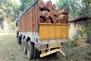 illegal wood  found from the crashed truck in chaibasa