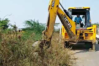 road side trees cutting for accidents decrease in station ghanpur