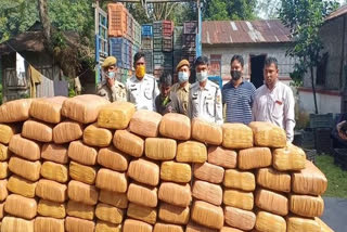 Tripura: Ganja worth around Rs 1 crore seized; two arrested  ത്രിപുരയിൽ ഒരു കോടി രൂപ വിലവരുന്ന കഞ്ചാവുമായി രണ്ട് പേർ പിടിയിൽ  ത്രിപുര കഞ്ചാവ്  കഞ്ചാവുമായി രണ്ട് പേർ പിടിയിൽ  Tripura Ganja  Ganja  Tripura