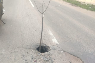 sudden-potholes-in- madakulam-road-at-madurai