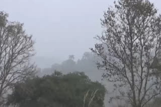 people facing Fog problems in Sirmour district