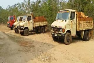 4 truck seized by Begunia tahasildar during stone smuggling in Khurda