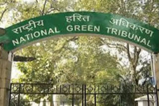 Petition filed in NGT on Rayalaseema excavation works