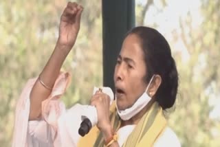 mamata banerjee