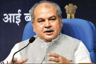 Minister of Agriculture Narendra Singh Tomar
