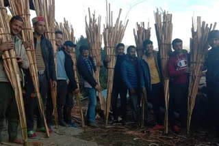 Saraji Diwali celebrated in Mandi