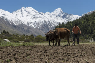 Kisan Samman Nidhi in himachal