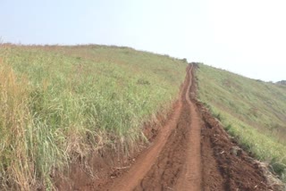 encroaching revenue land Swargammedu idukki  സ്വർഗ്ഗംമേട്ടില്‍ റവന്യൂ ഭൂമി കയ്യേറ്റം  കര്‍ശന നടപടിയുമായി റവന്യൂ വകുപ്പ്  Swargammedu idukki  സ്വര്‍ഗ്ഗം മേട് ഇടുക്കി