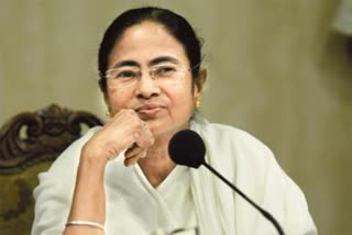 mamta