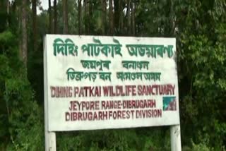 dihing patkai is known as national park