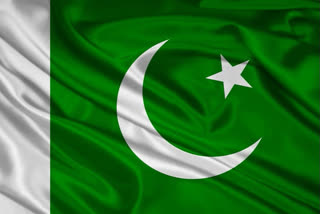 Pakistan President Arif Alvi approved the new anti-rape ordinance