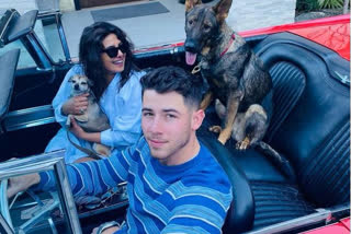 Priyanka Chopra pushes Nick Jonas