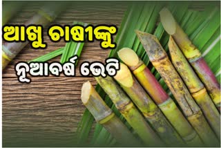 ଆଖୁ ଚାଷୀଙ୍କୁ ମୋଦି କ୍ୟାବିନେଟର ଉପହାର, ଚିନି ରପ୍ତାନୀ ଉପରେ ସବସିଡି ଦେବେ ସରକାର