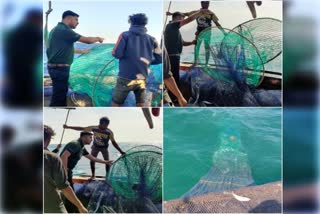 લુપ્ત થતી શાર્ક માછલી પ્રજાતિના બચ્ચાને બચાવવા WWF-Indiaના સ્ટેટ પ્રોજેક્ટ હેઠળ દરિયા ખાતે સંશોધન હાથ ધરાયું