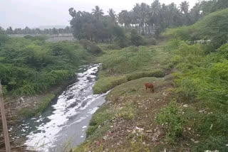 bjp farmers wing starts save thirumanimutharu movement at salem