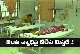 ఏలూరు వింత వ్యాధికి పురుగు మందులే కారణం..!