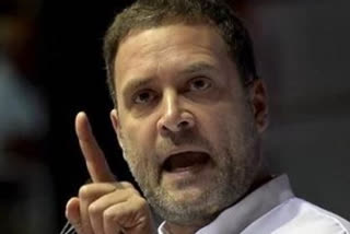 rahul gandhi