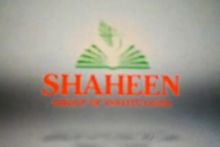 shaheen college