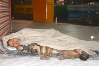 a minor child used to sleep with a dog in muzaffarnagar