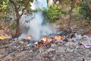 fire in Lado Sarai area forest