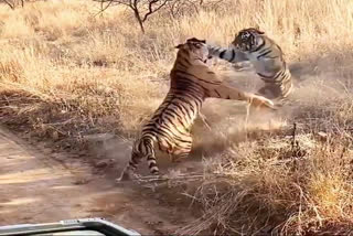 anti poaching team,  wildlife hunting in rajasthan