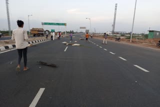 More then 15 sheeps deid in accident while crossing road in chitradurga distrist