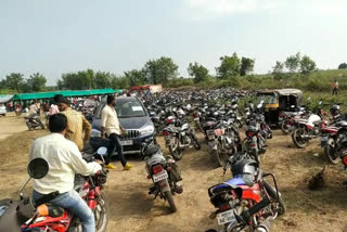 Gambling on Rooster Fight in chandrapur district