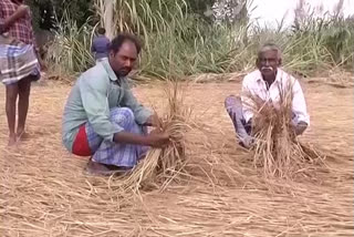 central-commiitte-visit-in-nivar-cyclone-effected-areas