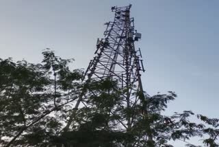 NAT-HN-drunked man jumped from a mobile tower in janjgir champa-CH