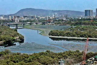 Mithi River
