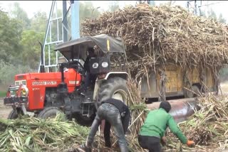 kaithal Sugarcane production mill
