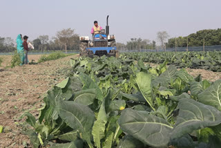 muzaffarpur