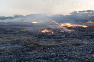 mahendergarh fire farmers karvi