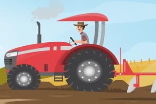 Farmer drove tractor on cabbage