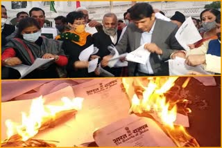 AAP MLAs burnt copies of three farm laws outside of assembly
