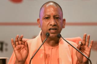 yogi government