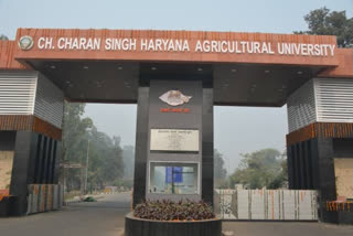 Chaudhary Charan Singh Haryana Agricultural University Hisar