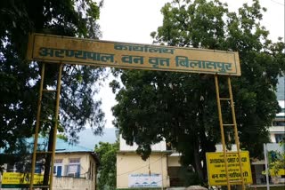 Bilaspur forest department