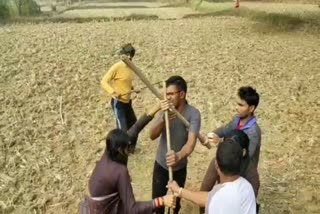 Video of a fight in a land dispute goes viral In gorella