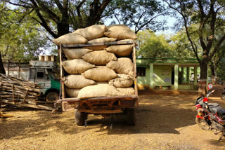 Forest Department confiscates herb filled pickup in Sheopur