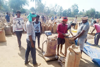 28 lakh 22 thousand MT of paddy Purchased in Chhattisgarh