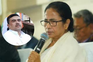 TMC MLA Silbhadra Datta resigns from party