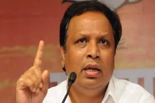 ashish shelar news