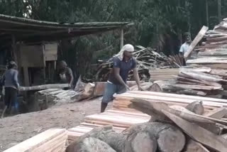 north-kamrup-illigel-wood-cutting